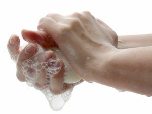 Special Interest: Health and Safety Guidelines