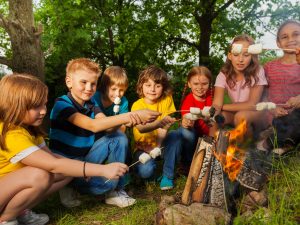 Special Interest: Plan to Protect for Camps