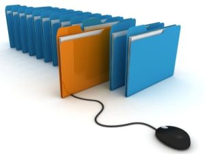 Special Interest: Electronic Documentation