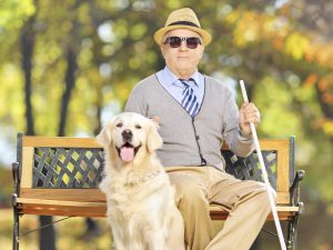 Special Interest: Involving Volunteers/Staff with Disabilities/Special Needs